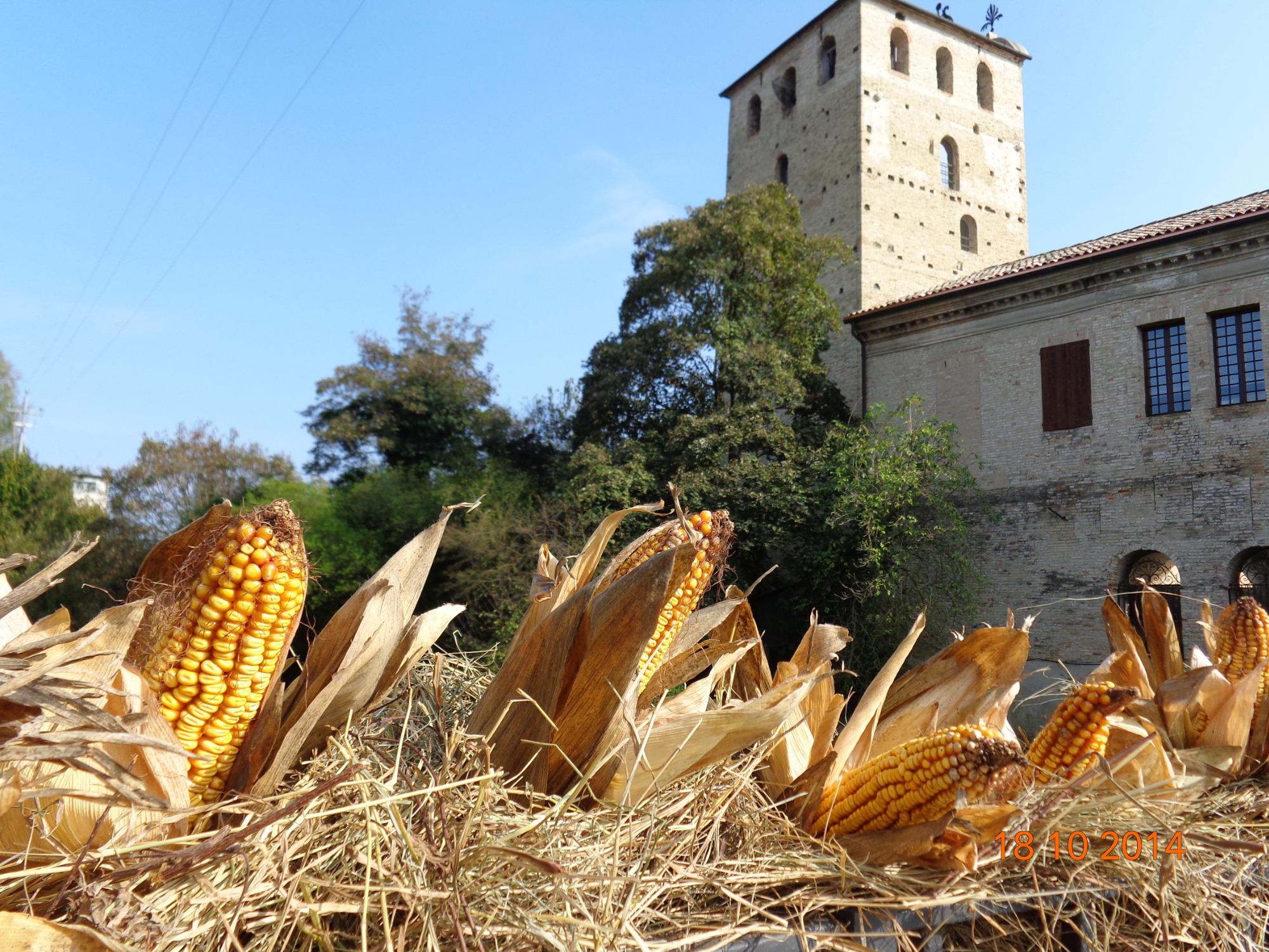 Borgo Medievale di Portobuffole