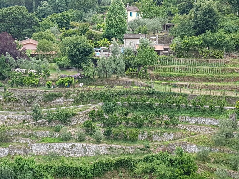 Centro Storico di Ameglia