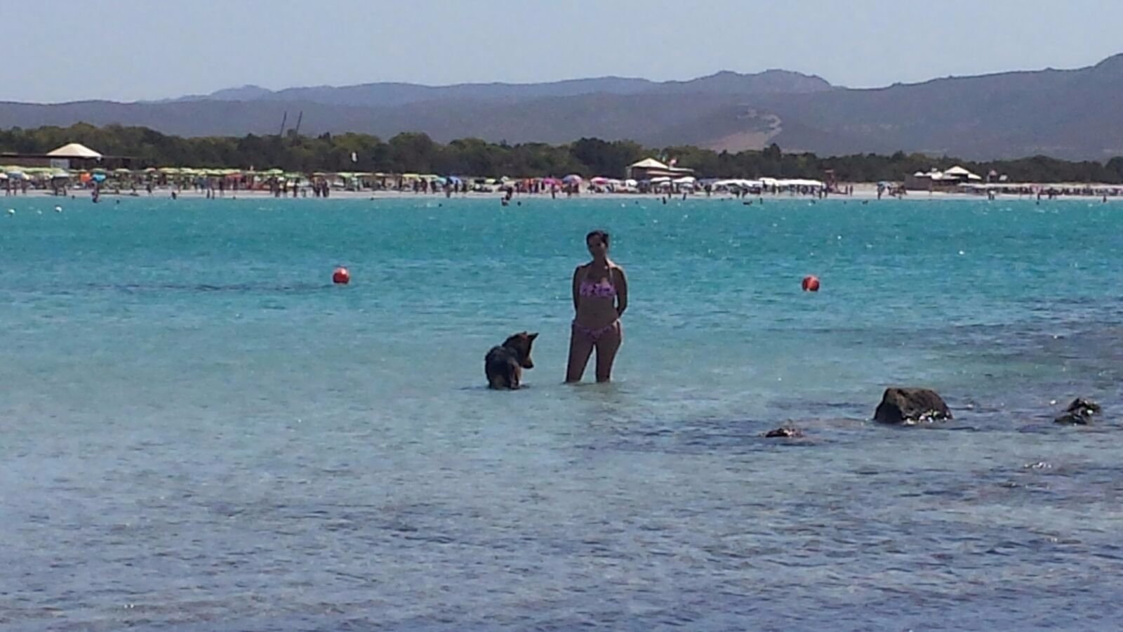 Spiaggia Animal Frendly Porto Pino