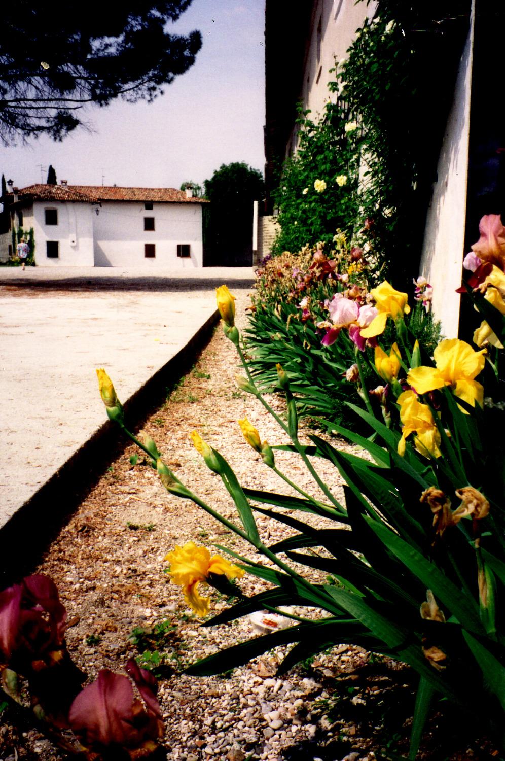 Museo della Civiltà Contadina del Friuli Imperiale