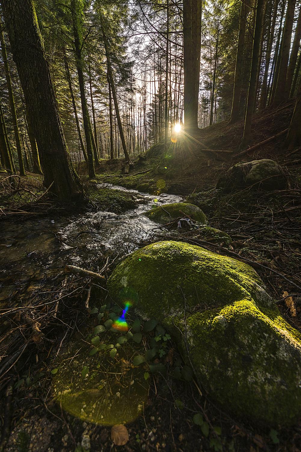 Parco Naturale Regionale delle Serre