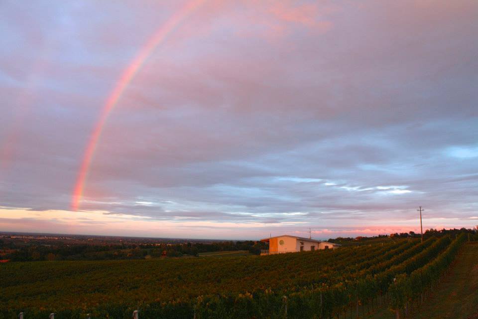 Fratta Minore Azienda Viti Vinicola