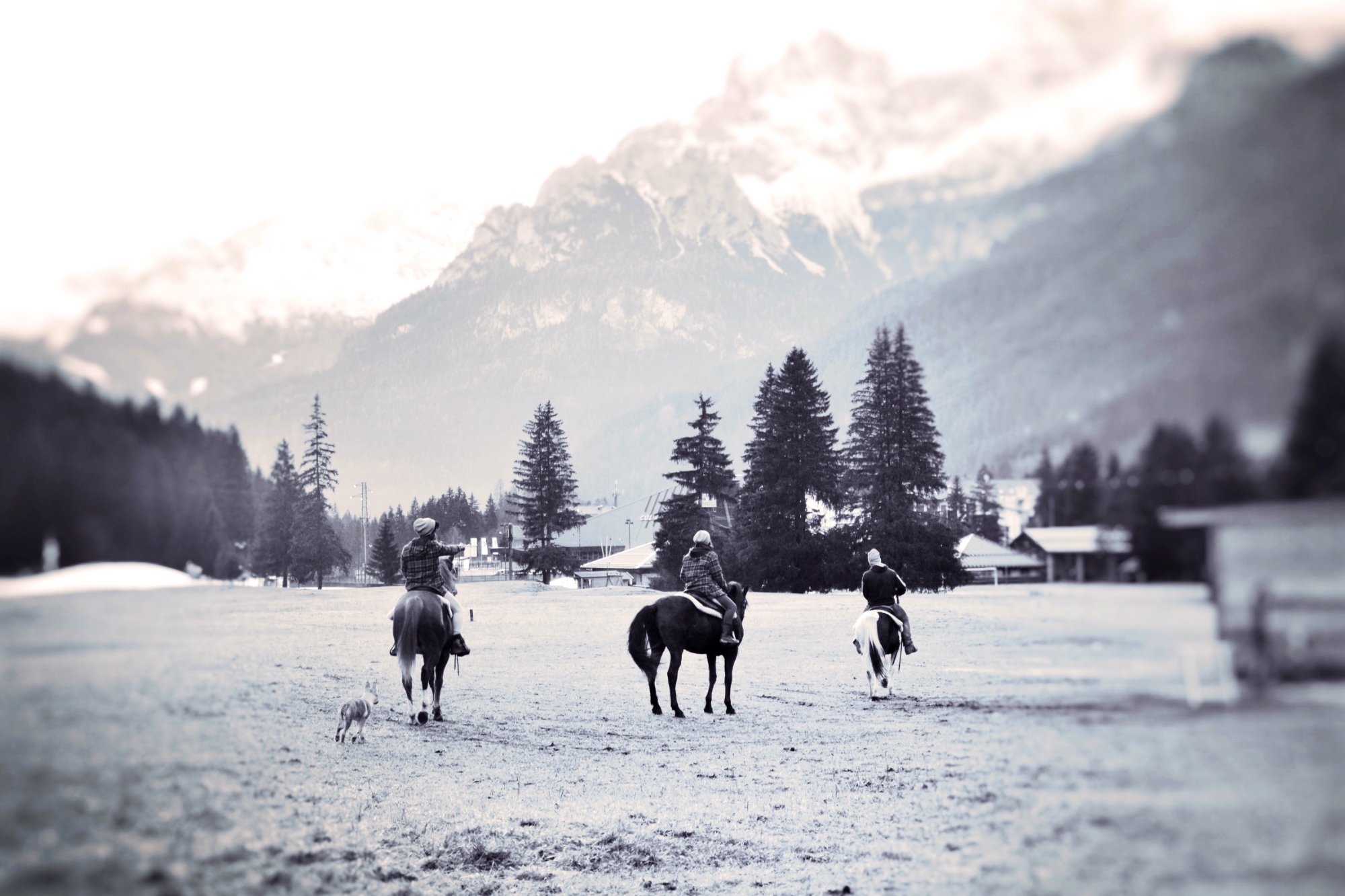 Charlotte Horse Riding