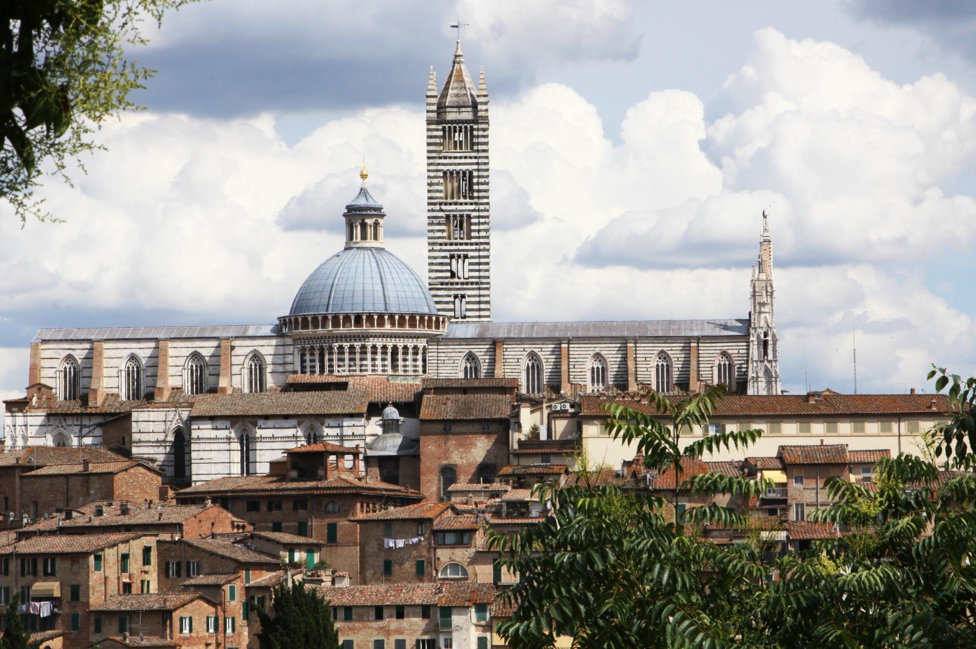 Tour Guide Siena and Province