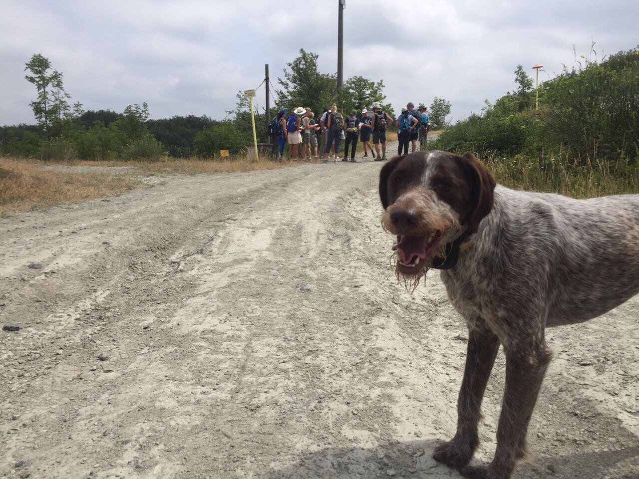 Truffle Hunter Italy