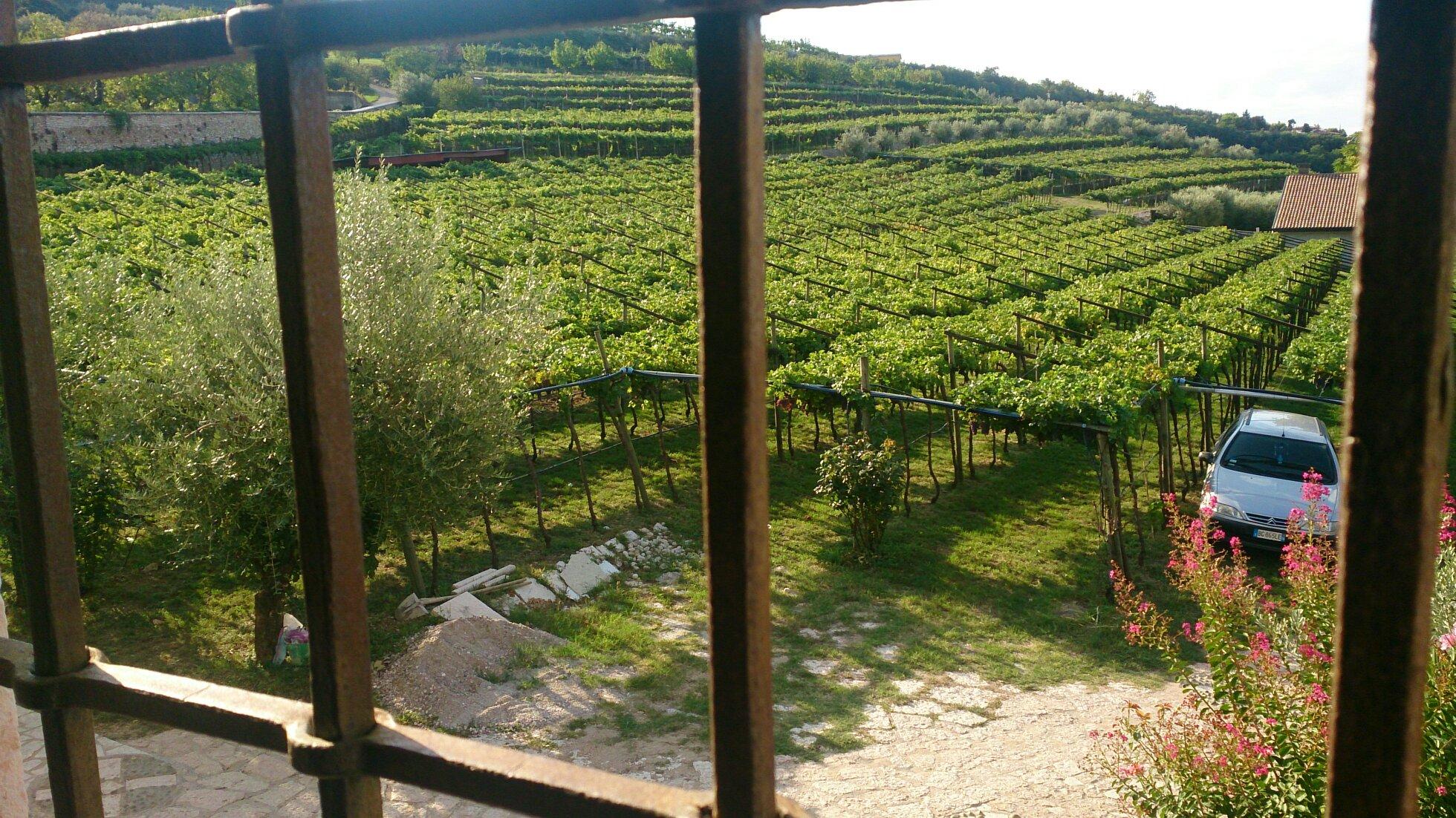 Corteforte Winery