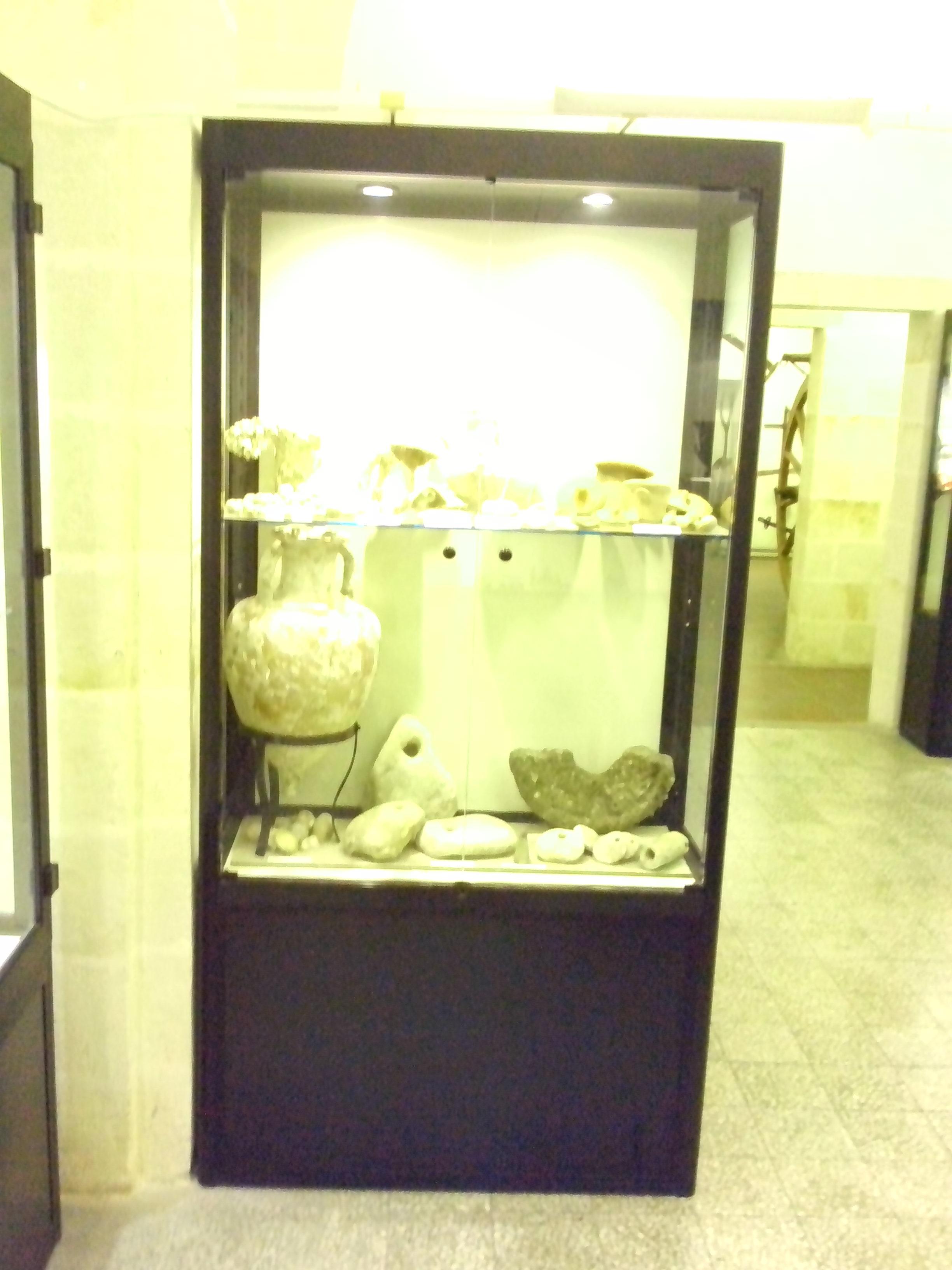 Museo Civico della Paleontologia e dell'Uomo