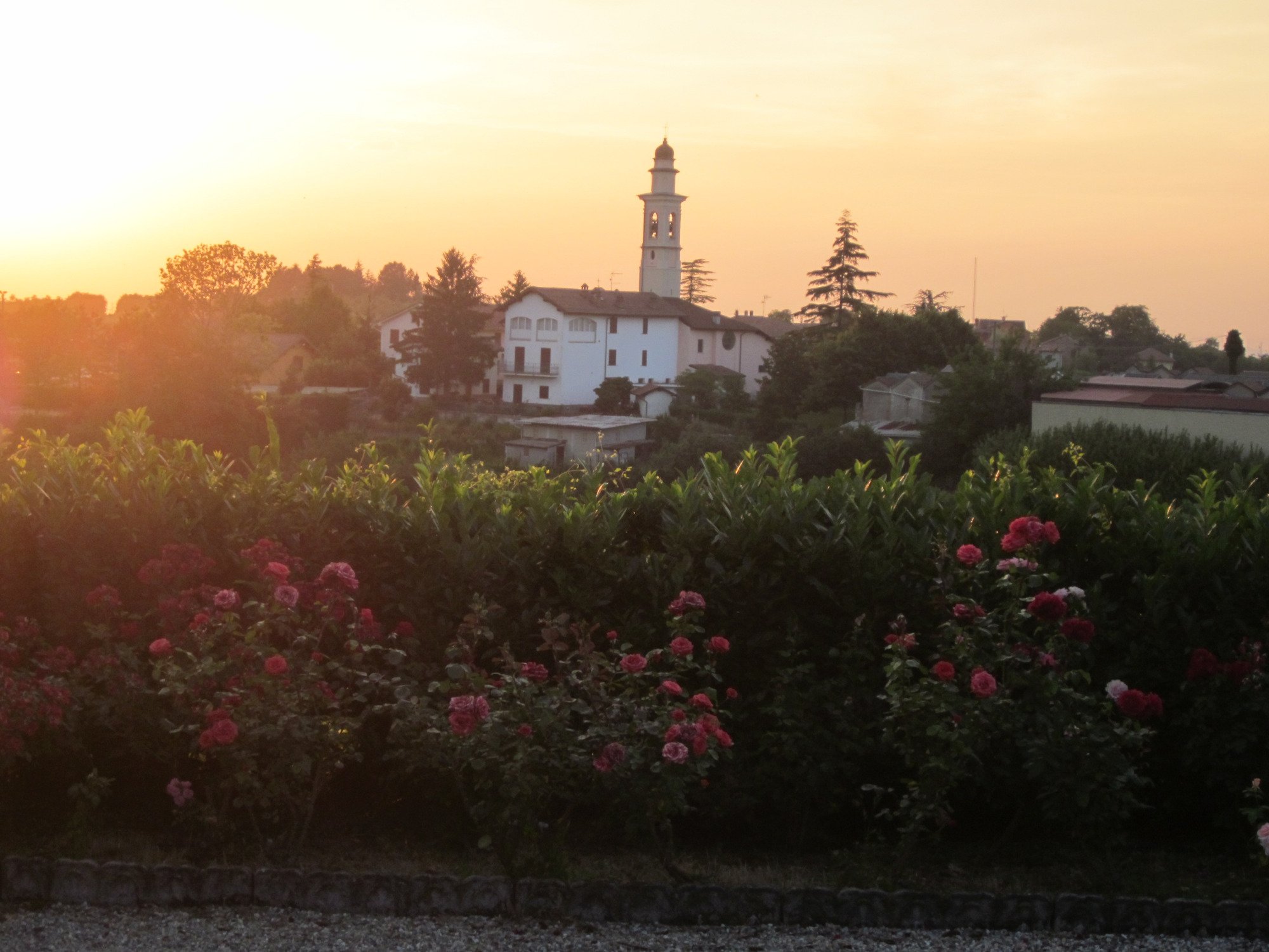 Chiesa dei Santi Cosma e Damiano