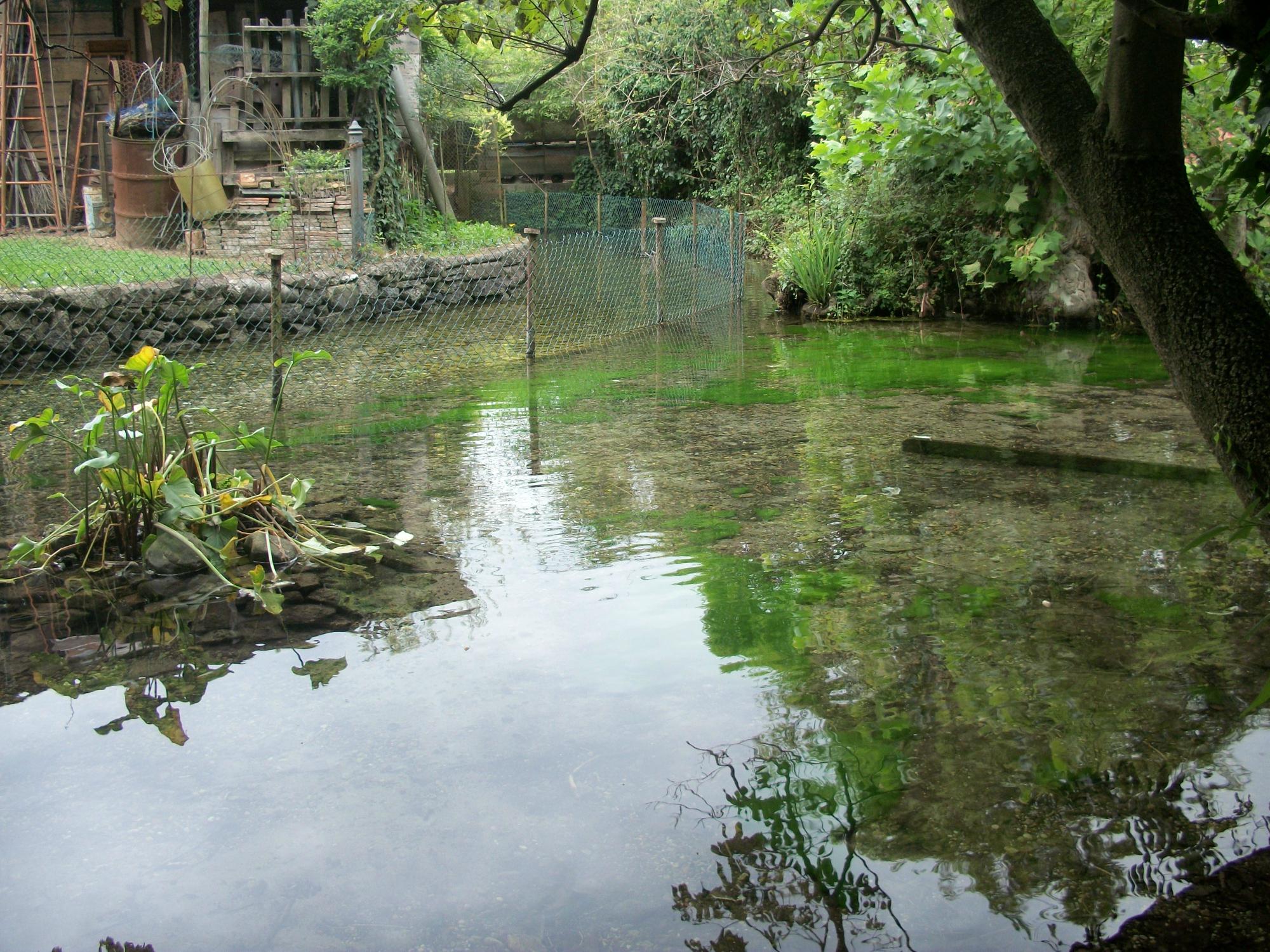 Parco dello Storga