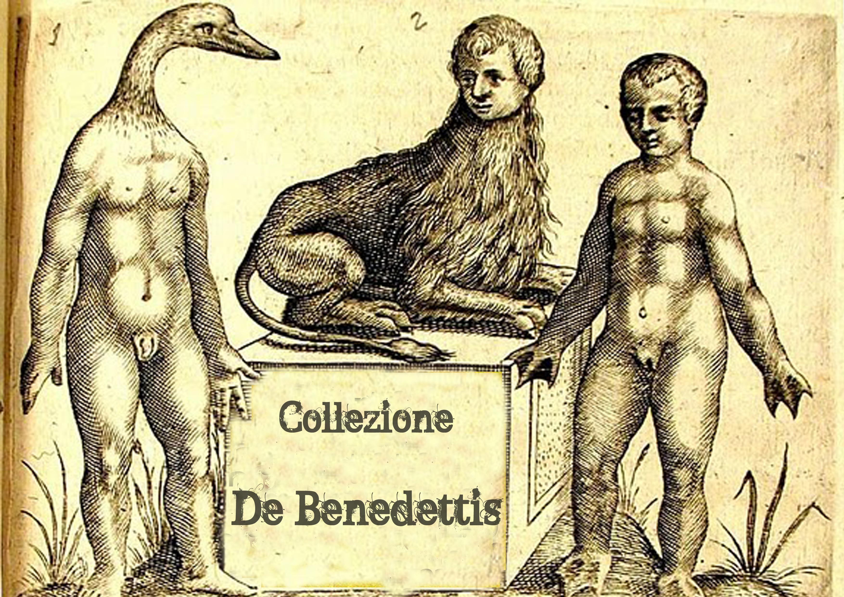 Collezione De Benedettis