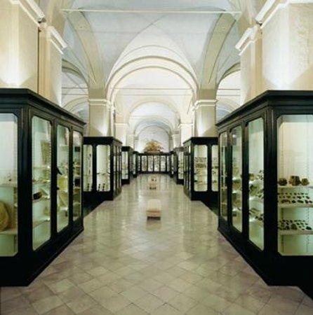 Museo Civico Archeologico Etnologico