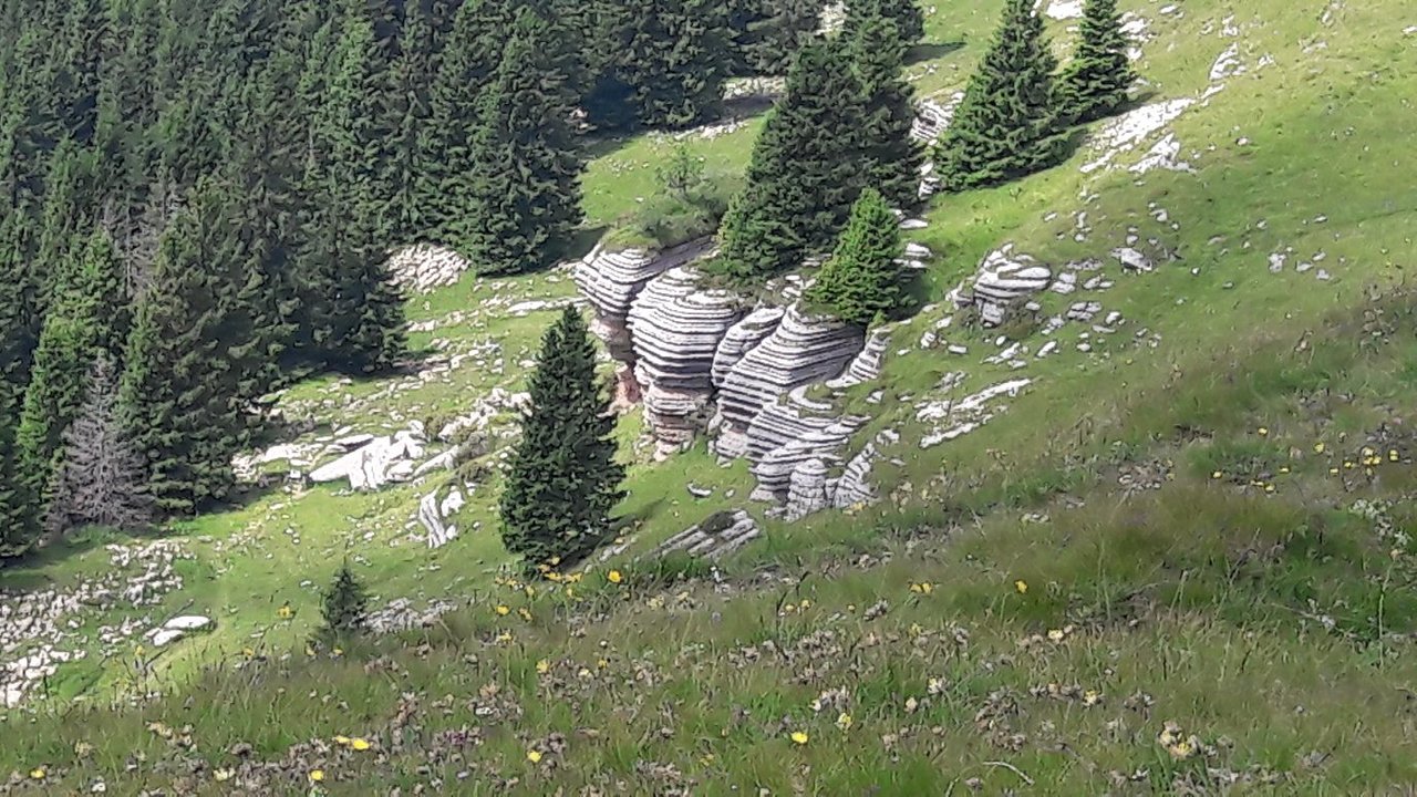 Monte Fior e Monte Castelgomberto