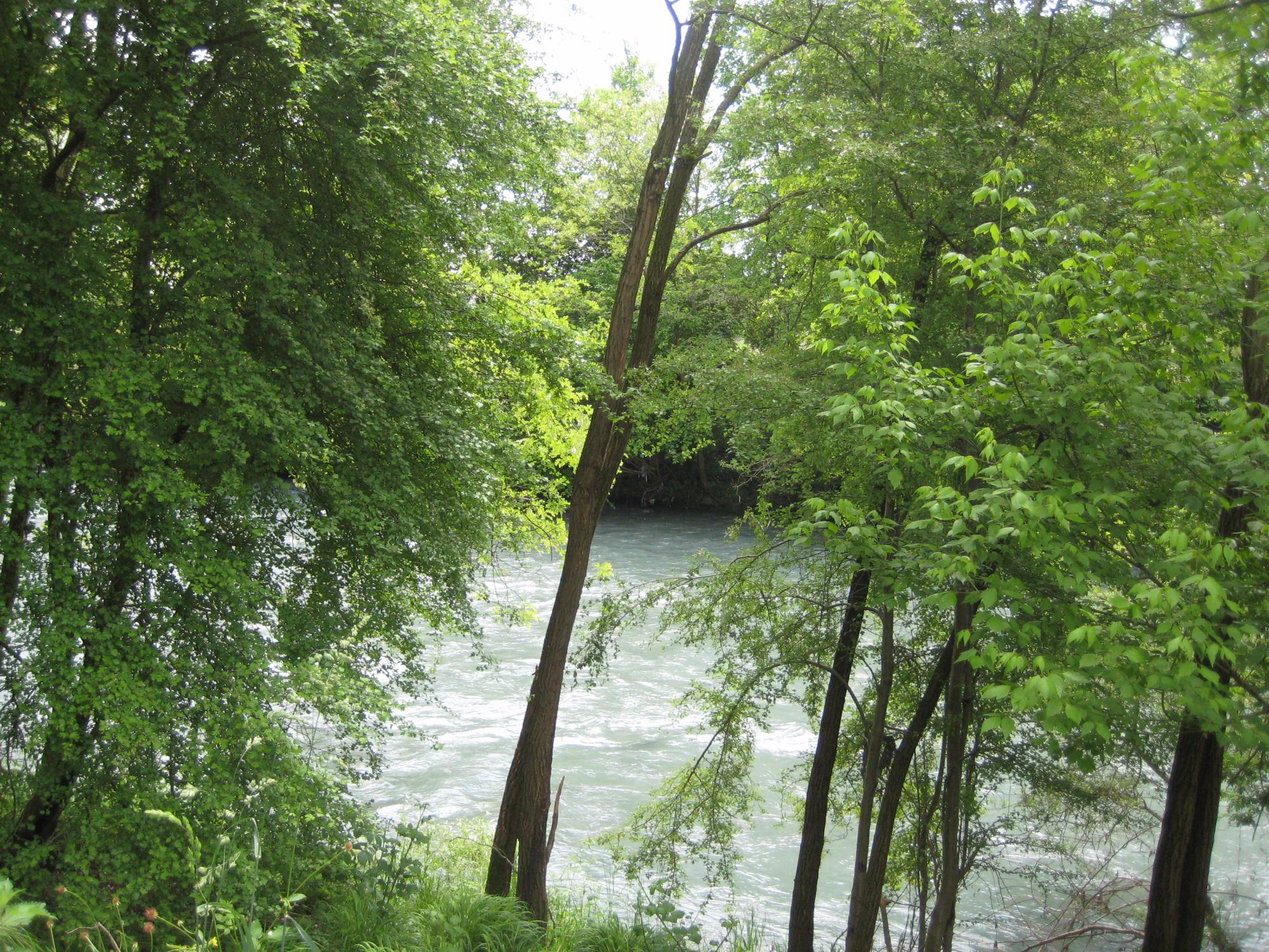 Parco Agronaturale della Dora Riparia