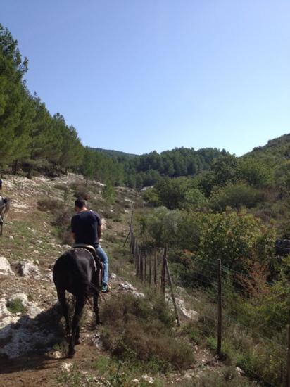 Horseback riding, Pantalica Ranch