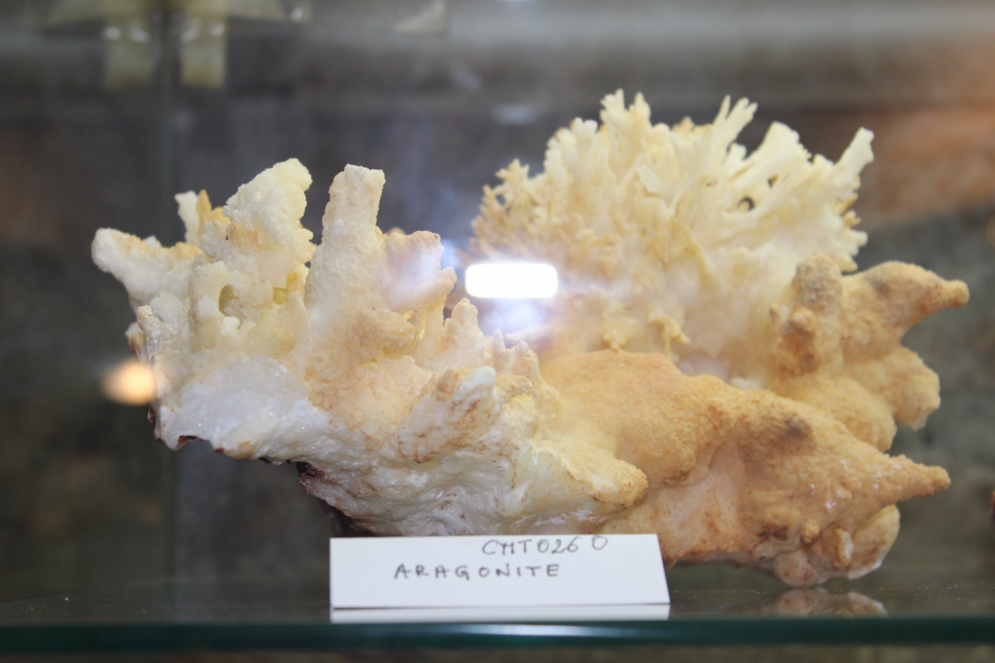 Museo del Minerale - Circolo Mineralogico Toscano