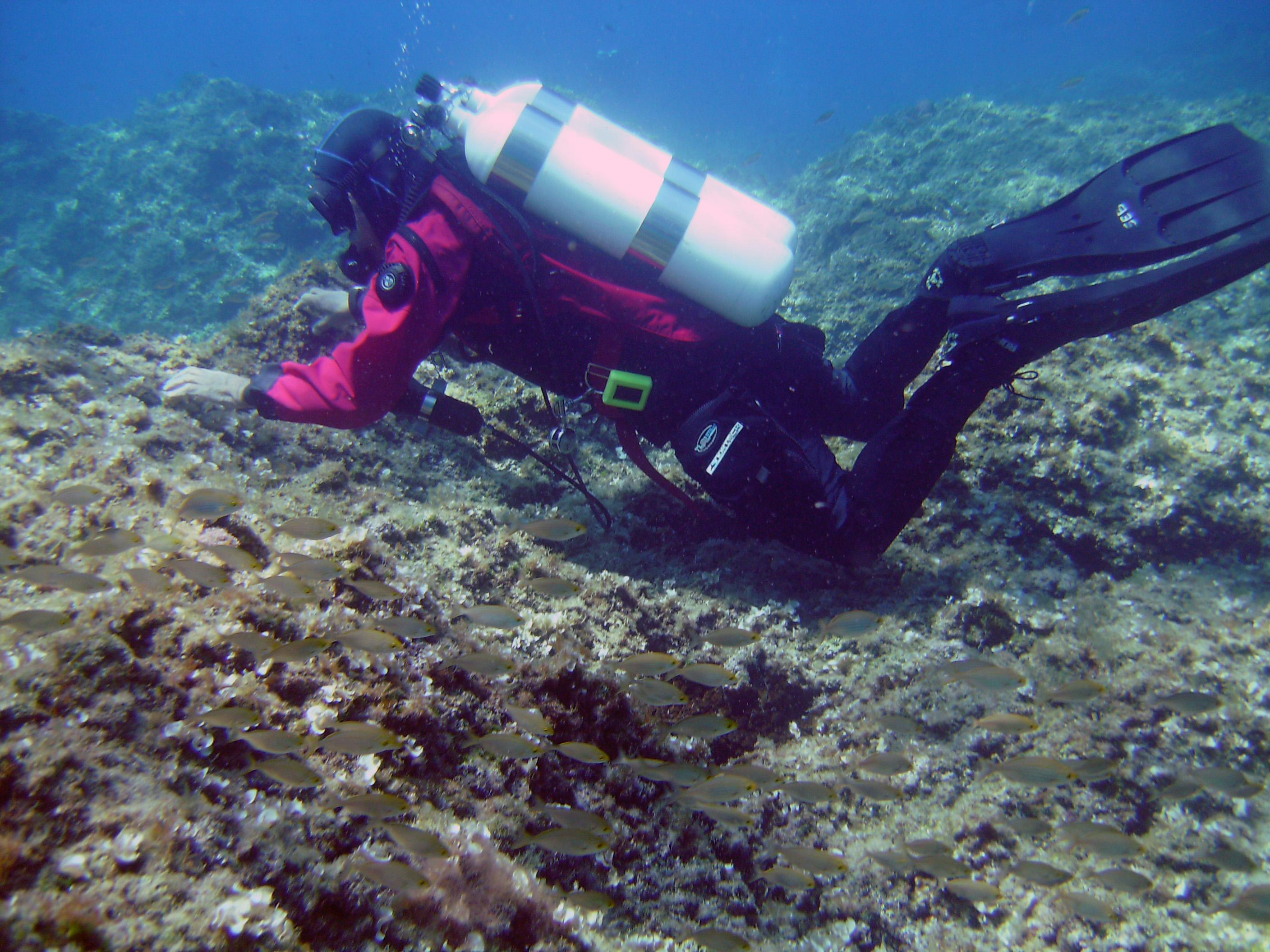 Ischia Diving