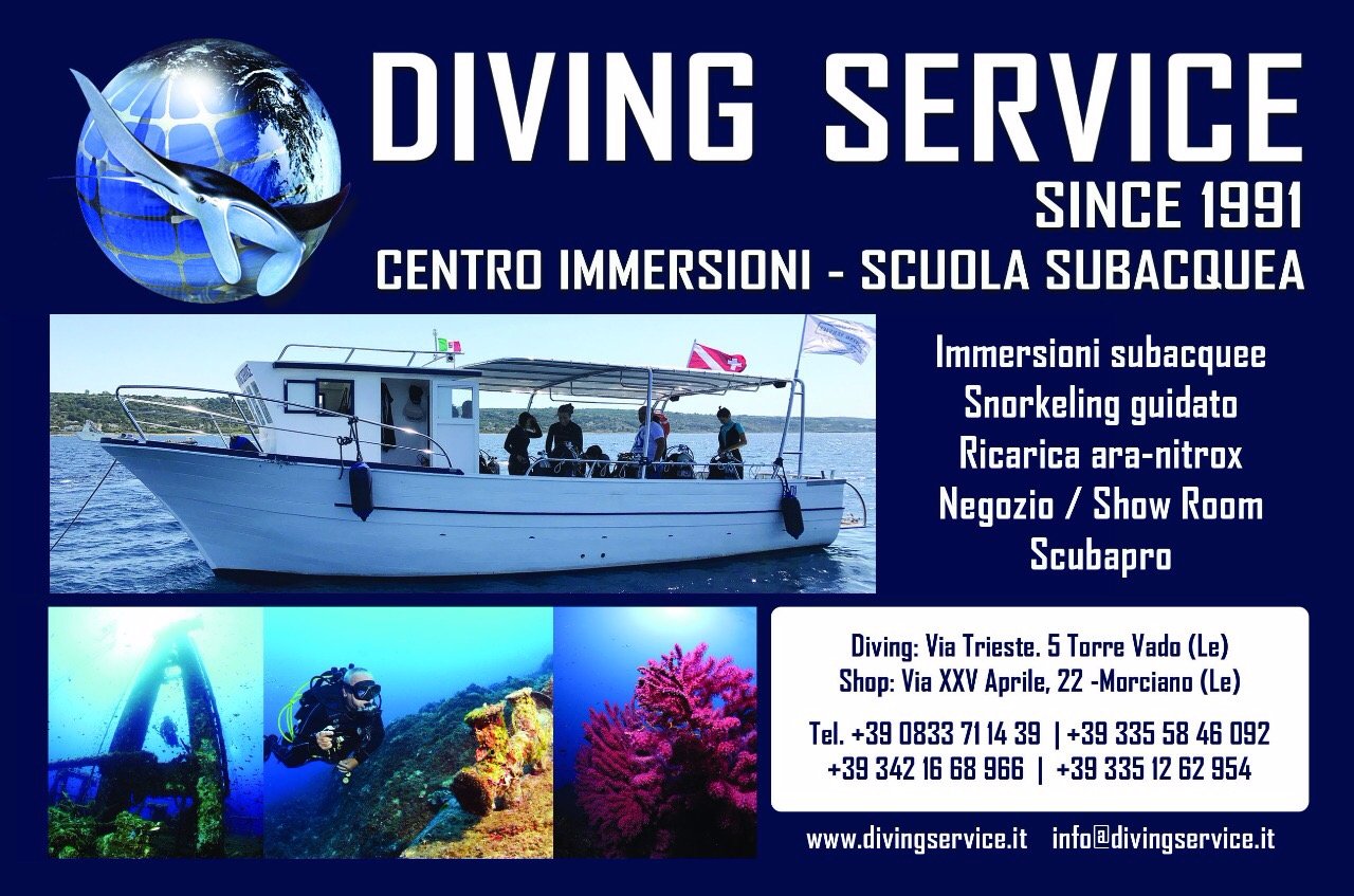Diving Service