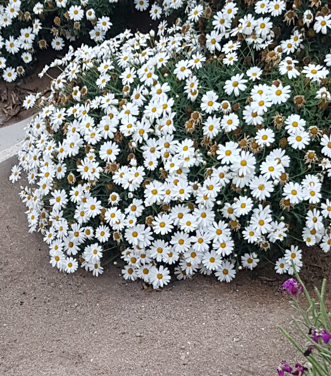 Memoriale Il Giardino della Vita