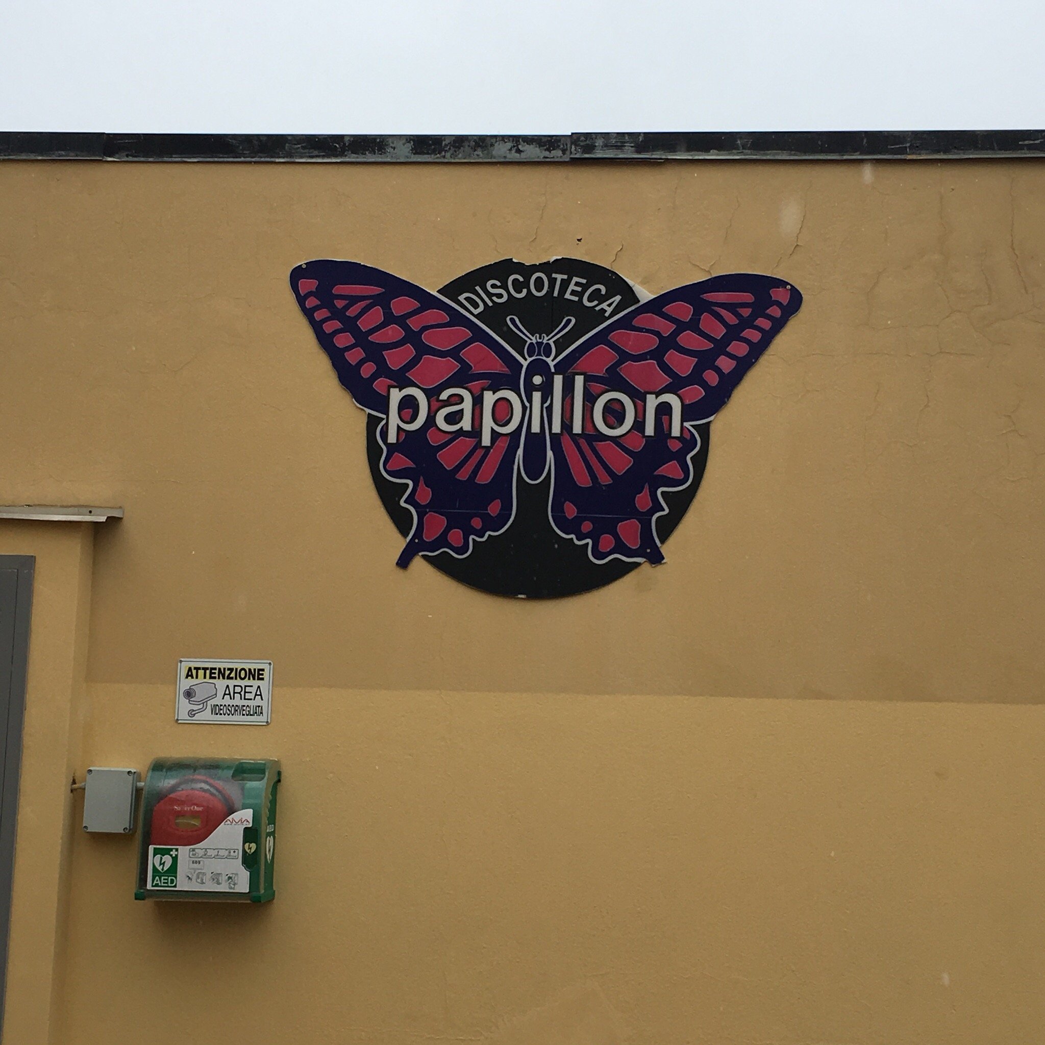 Papillon 78