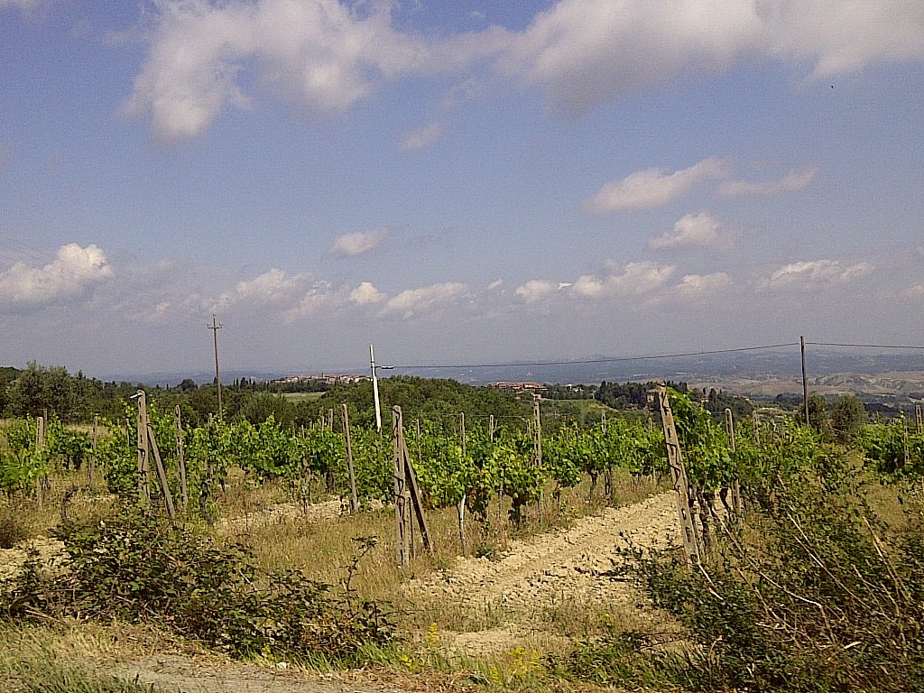 Agricola Tamburini Emanuela