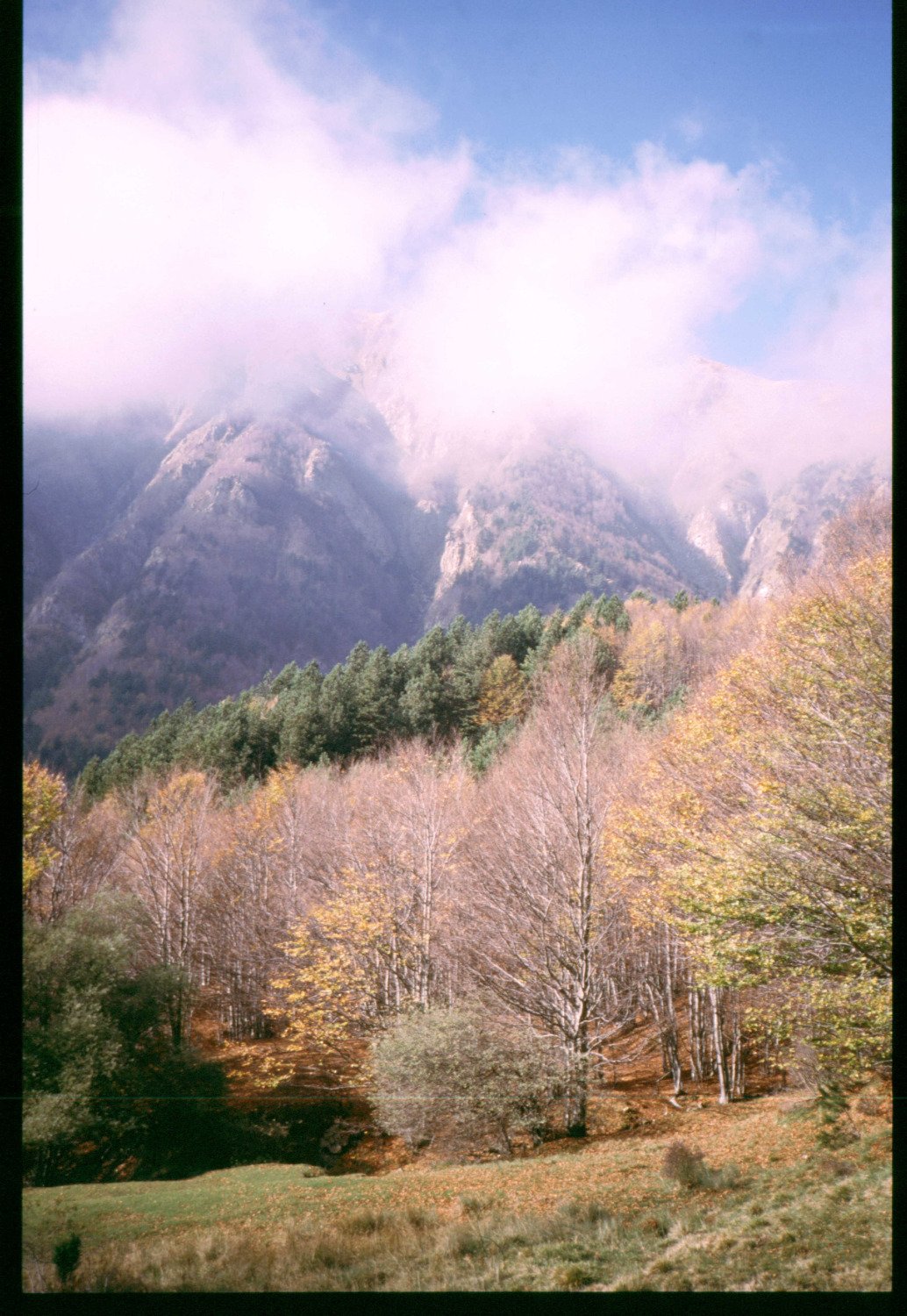 Parco del Frignano