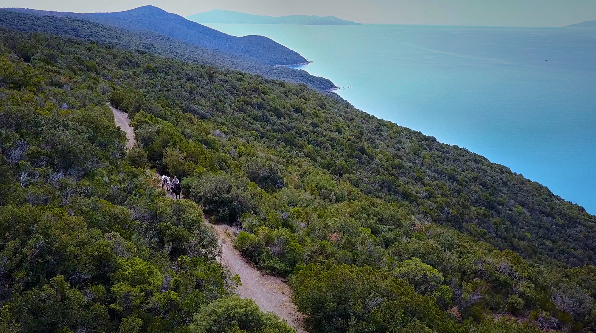 Tuscany Horse Trail