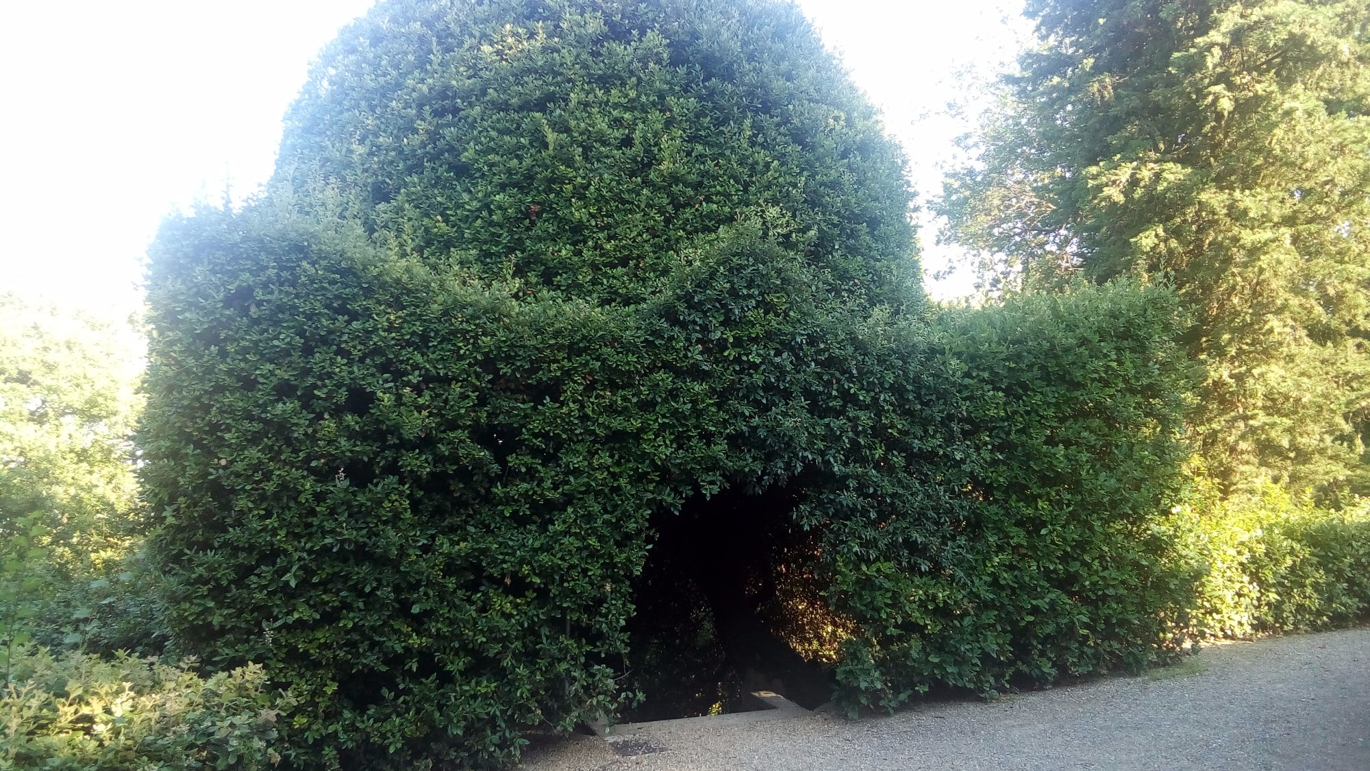 Terme della Via Francigena