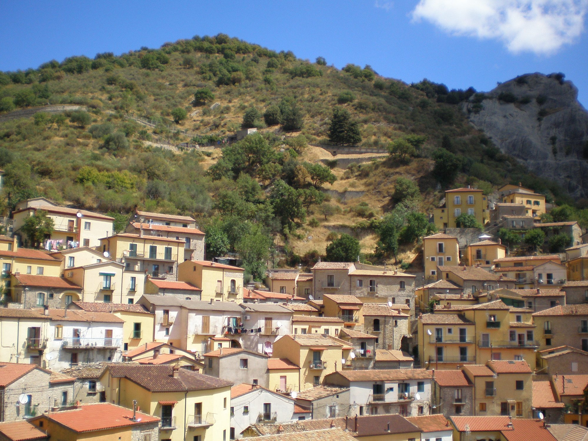 Chiesa Madre di Santa Maria dell'Olmo