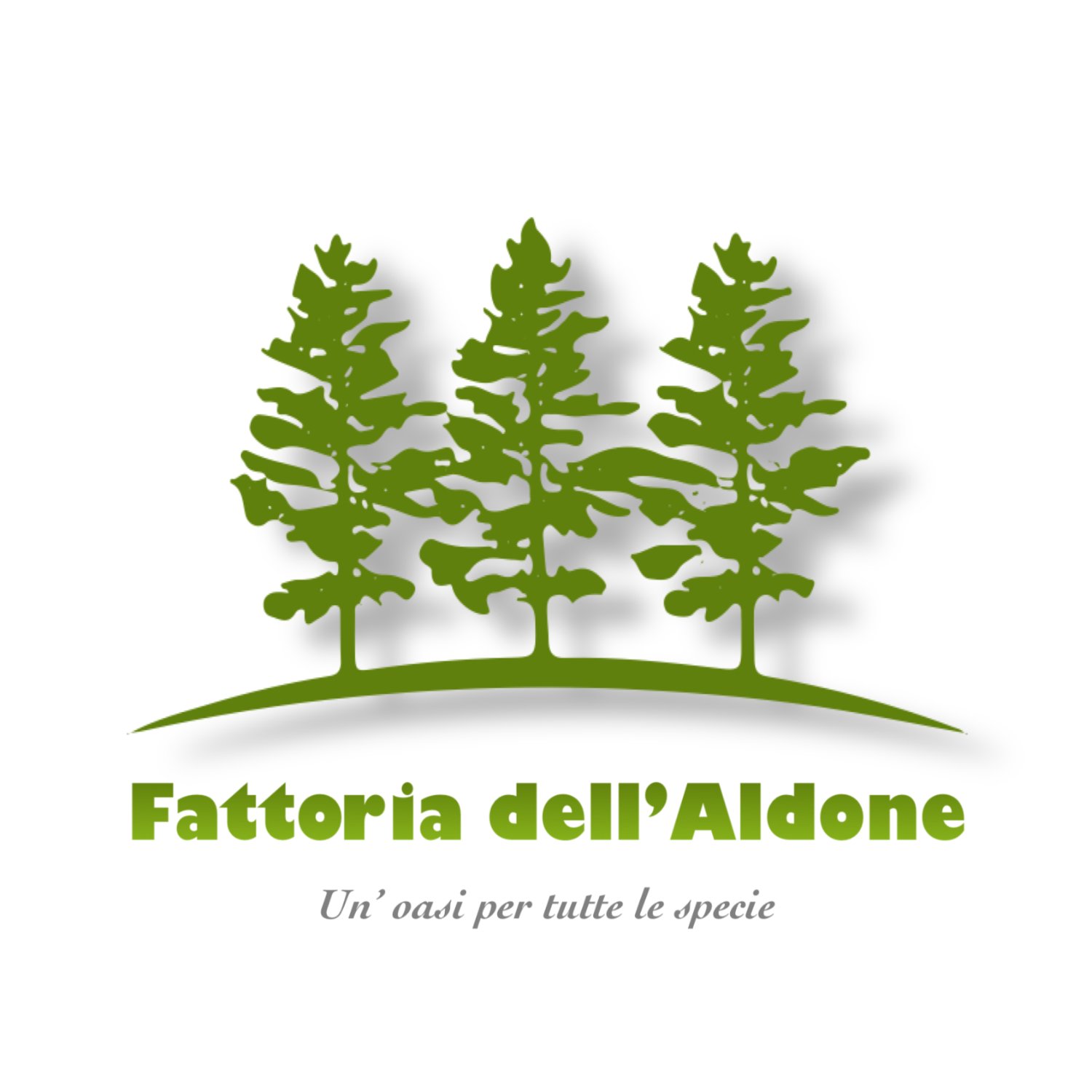 Fattoria dell'Aldone