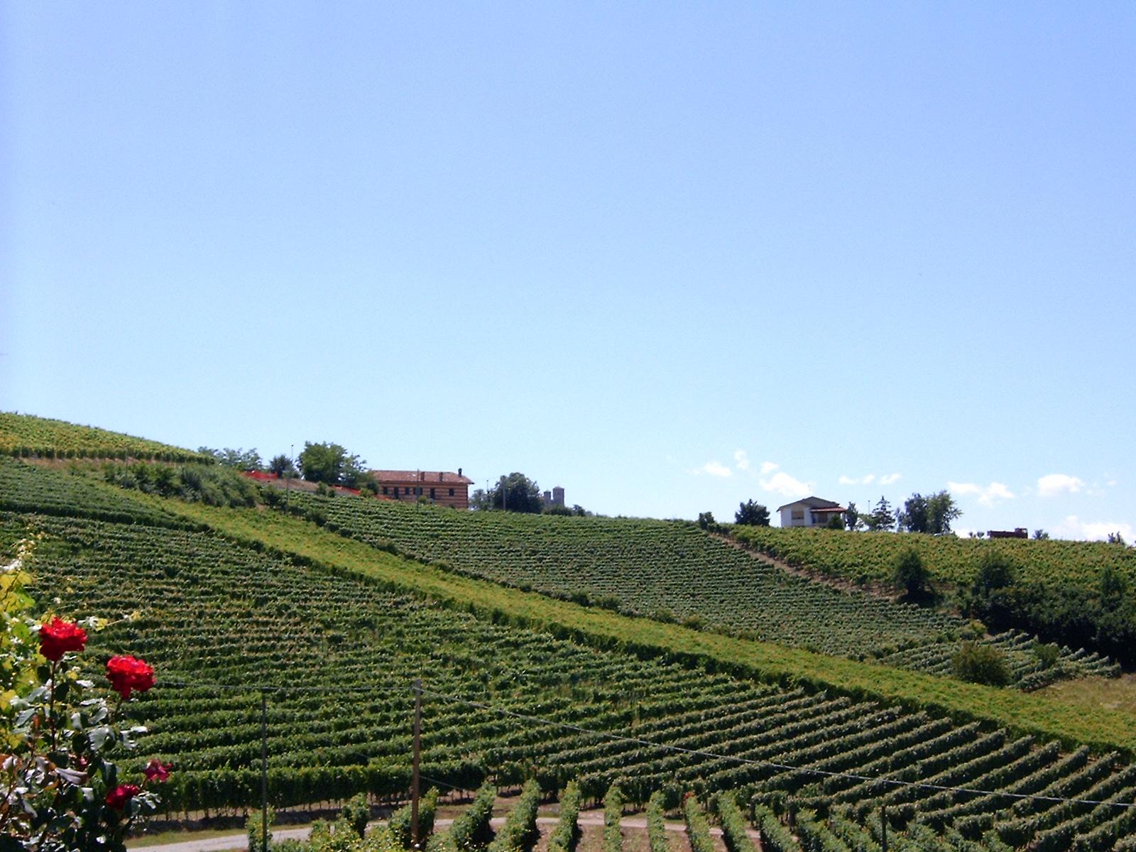 Azienda Agricola Gabutti