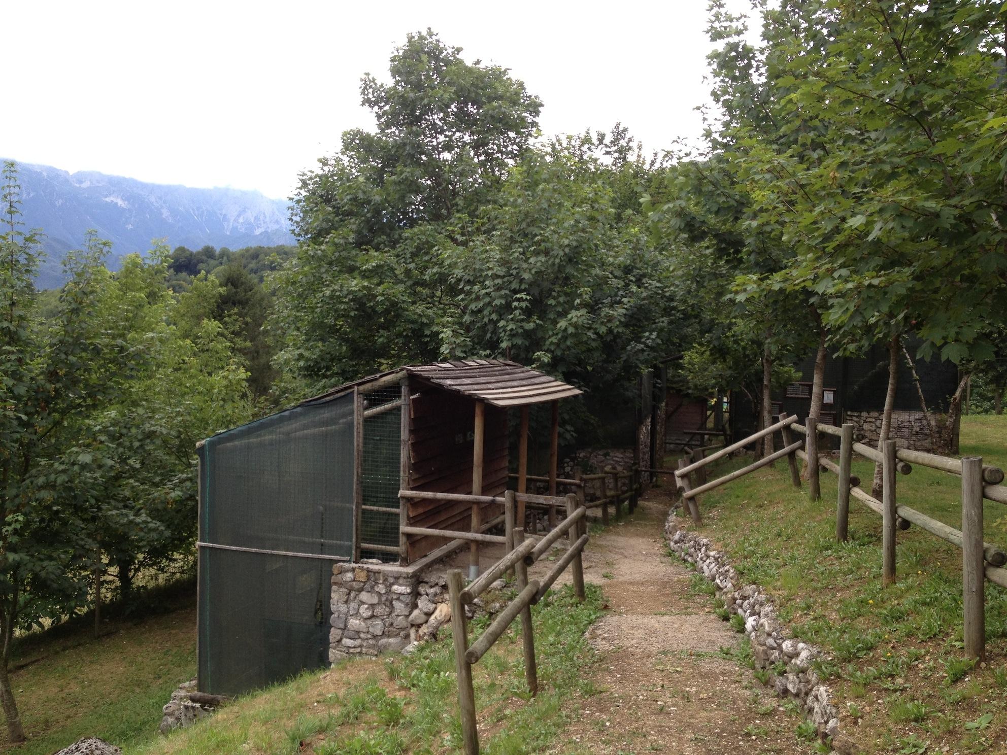 Centro Di Recupero Dell'avifauna Ferita