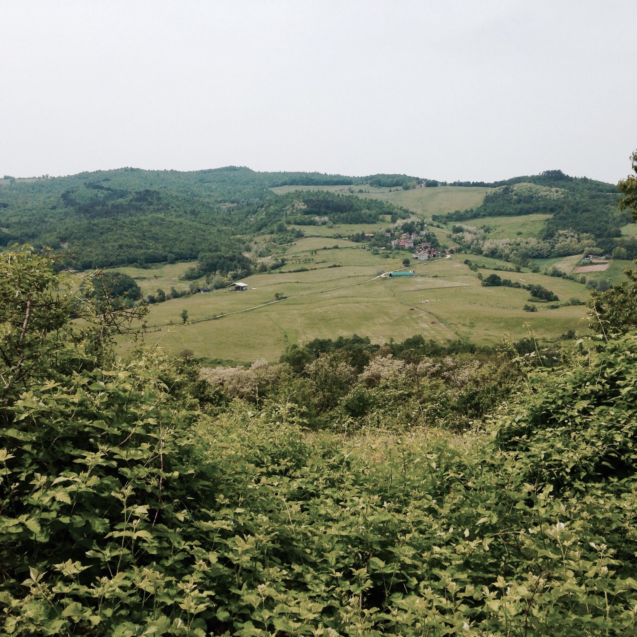 Azienda Agricola Biologica Il Cardo