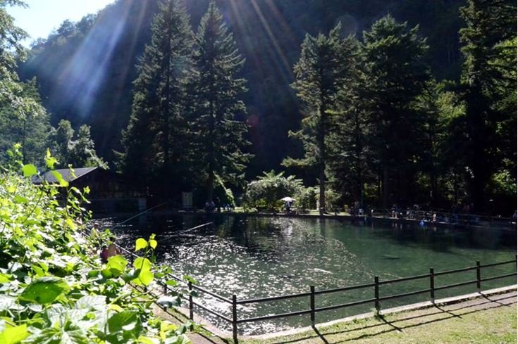 Laghetto di Pesca Sportiva Porchia