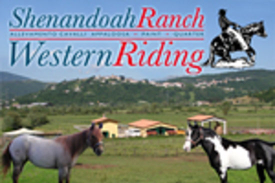 Shenandoah Ranch Western Riding