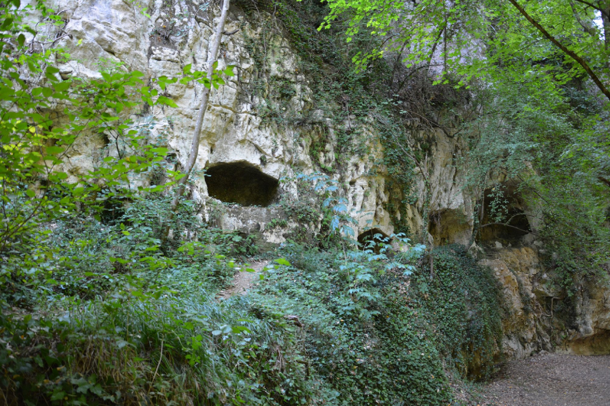 Tombe rupestri di San Liberatore