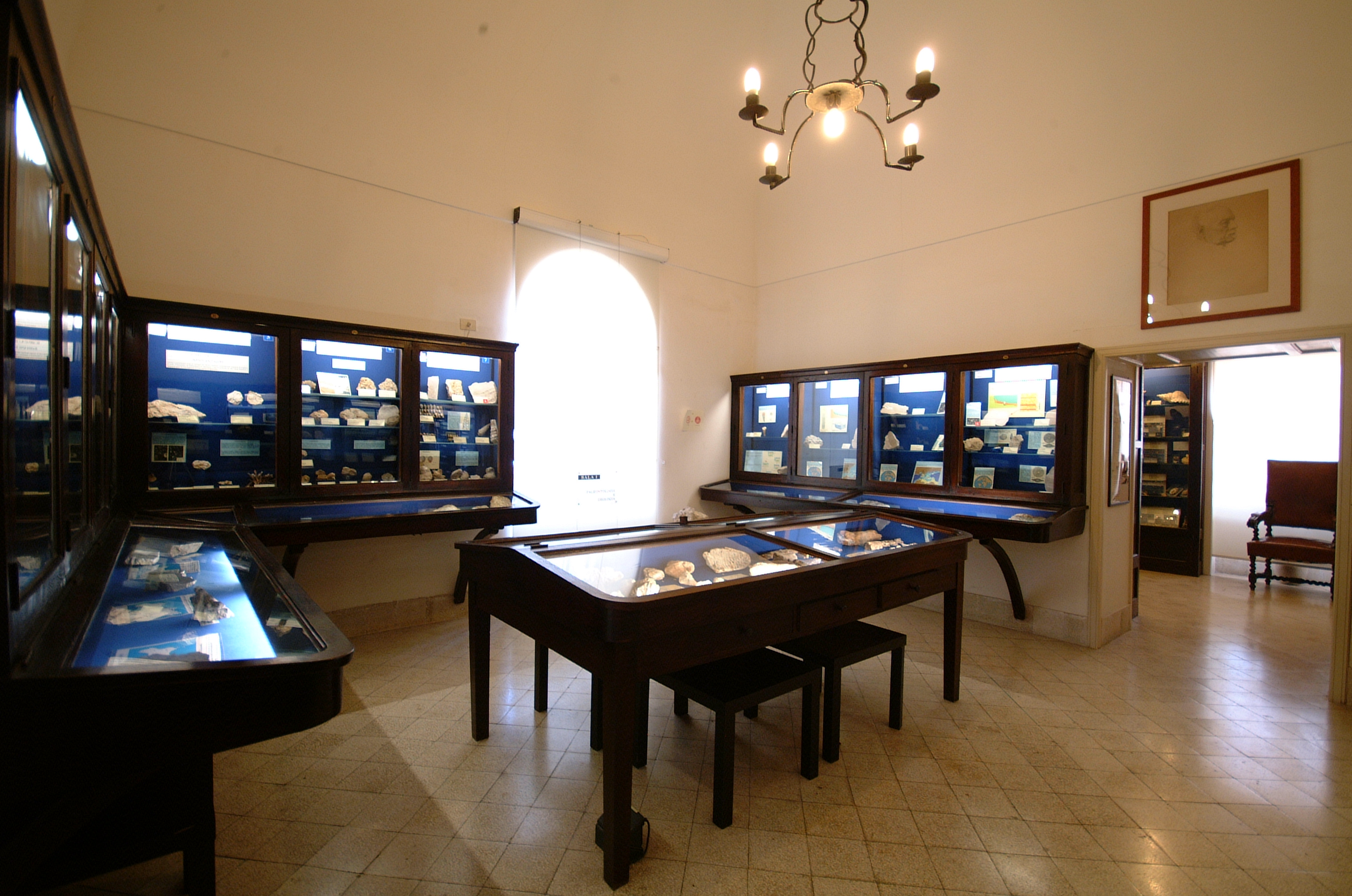 Museo Ignazio Cerio