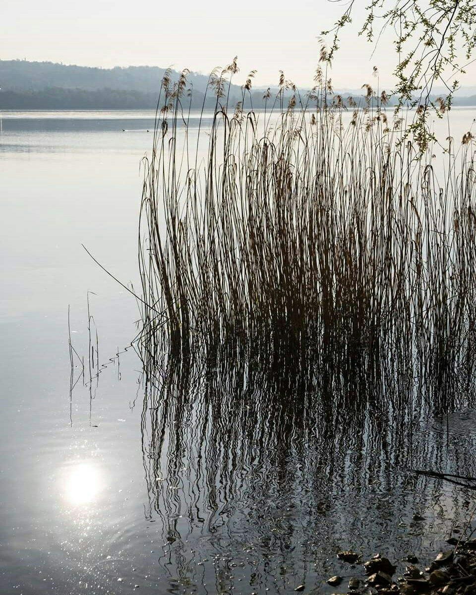 Lungolago di Gavirate