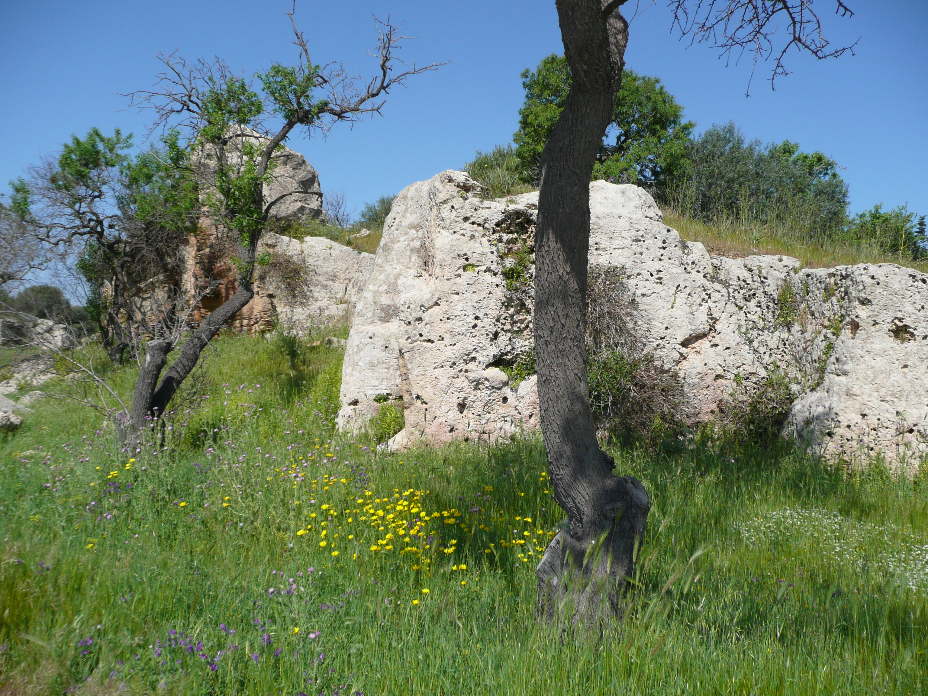 Cave di Cusa