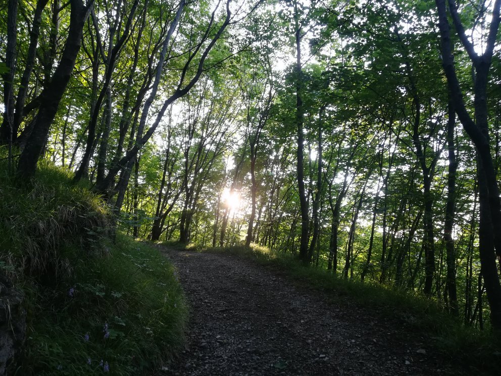 Oasi Naturalistica di Frassineto