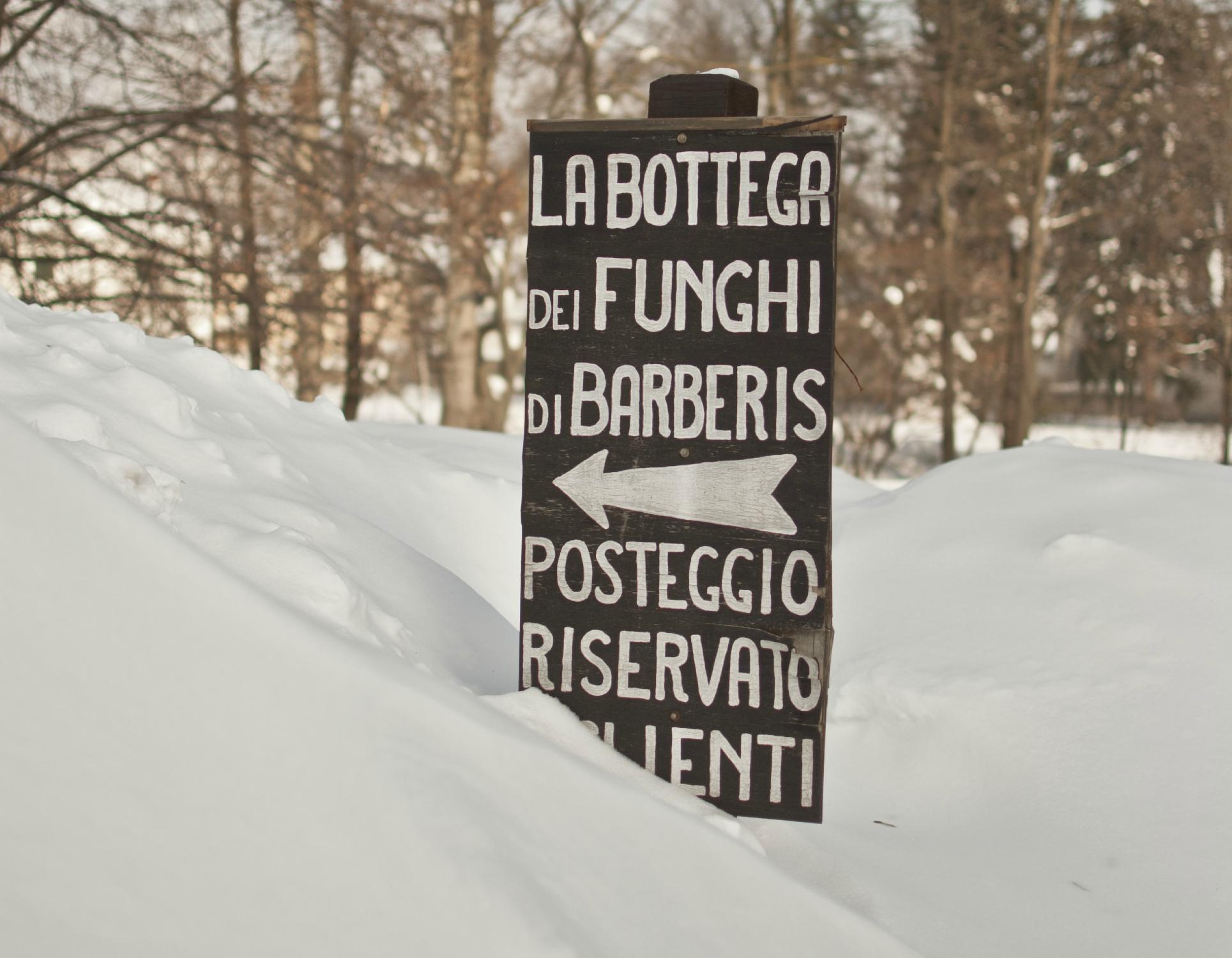 Barberis Funghi Calizzano