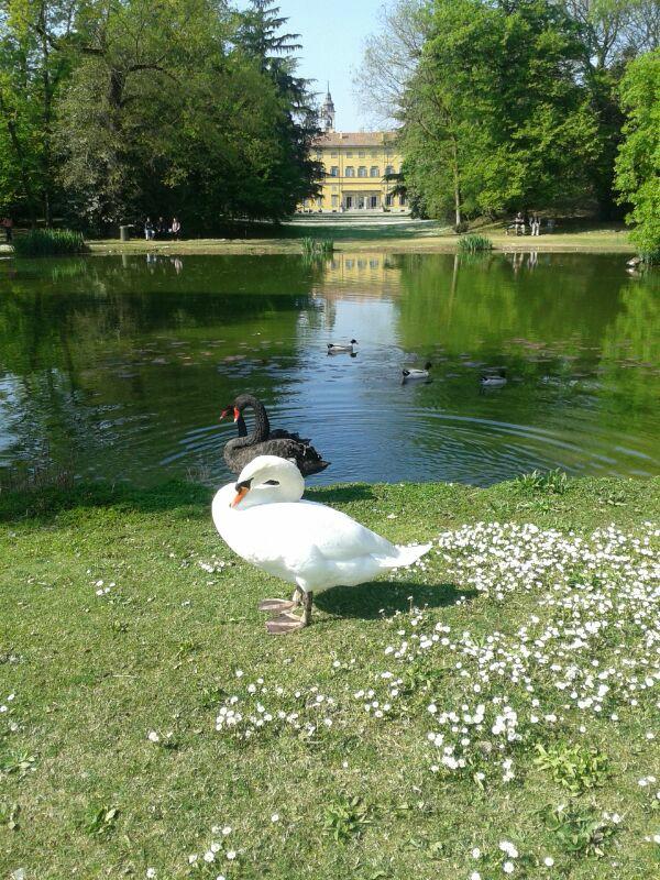 Parco di Villa Annoni