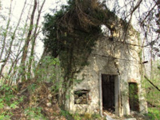 S. Maria del Bosco