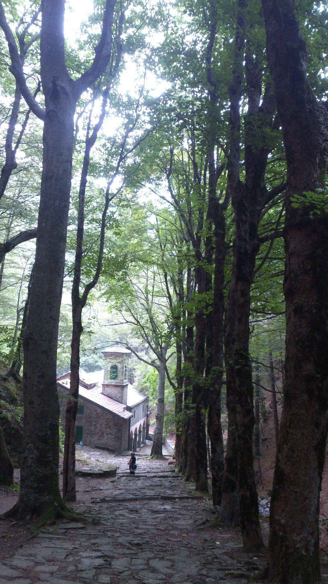 Santuario della Madonna del Faggio