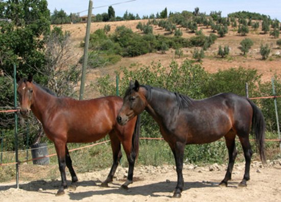 La Fattoria di Valentina