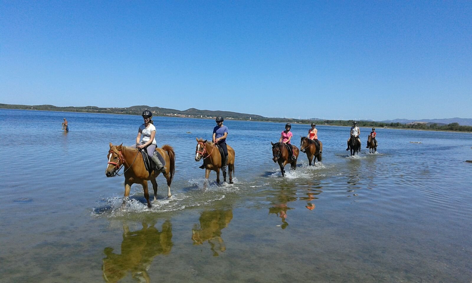 Centro Ippico Meurreddus a Cuaddu