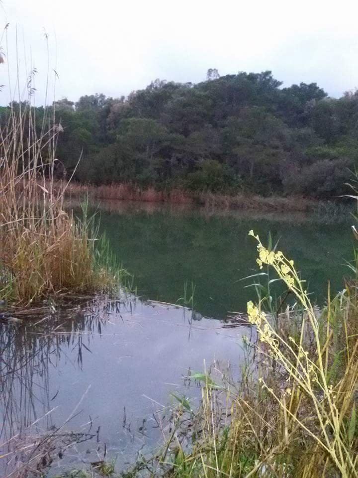 Ponte sul Fiume Lenne a Palagiano