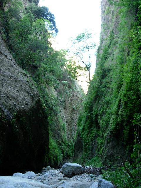 Riserva Naturale Regionale delle Valli Cupe