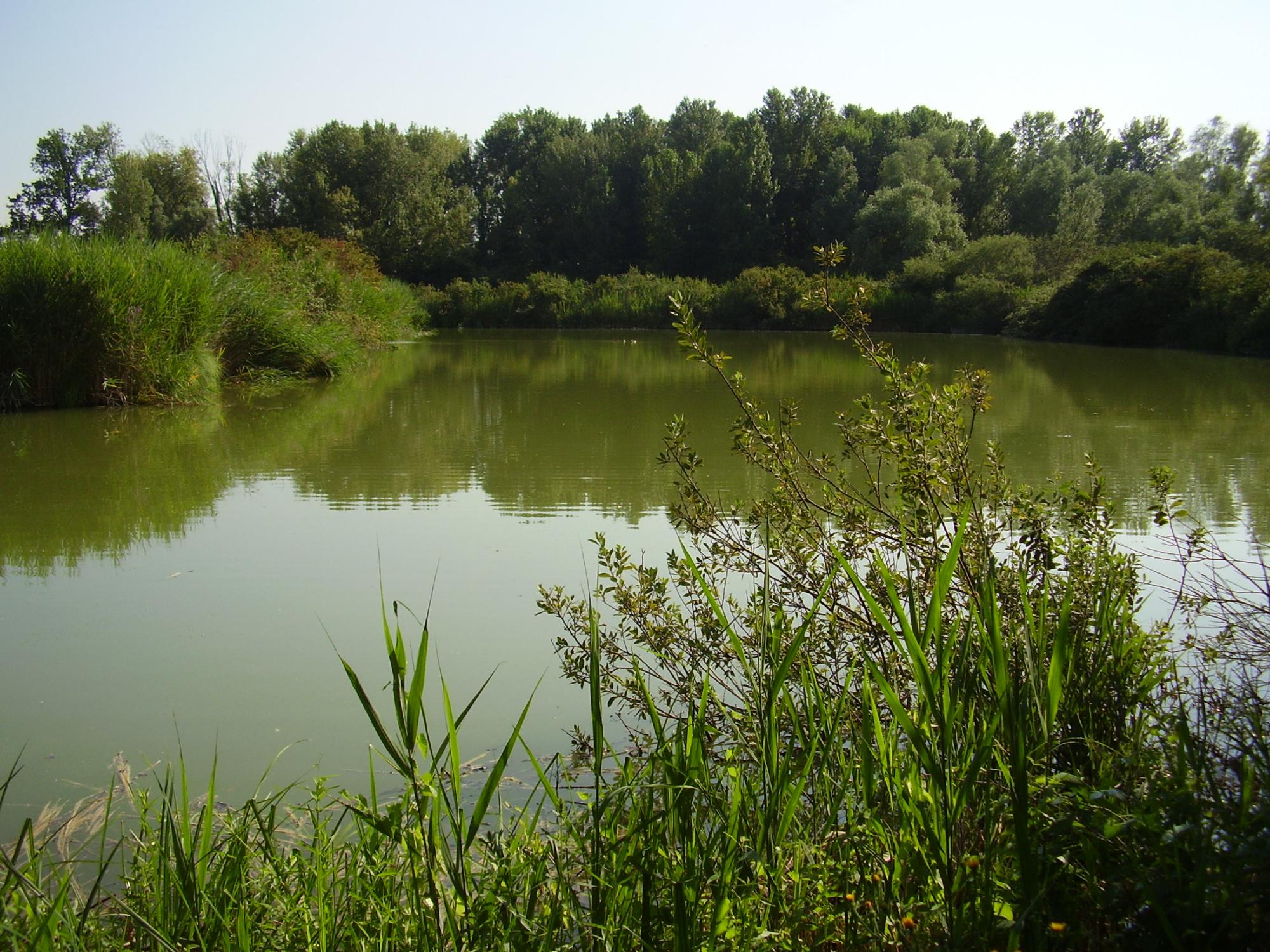 Riserva Naturale Gaggio Nord