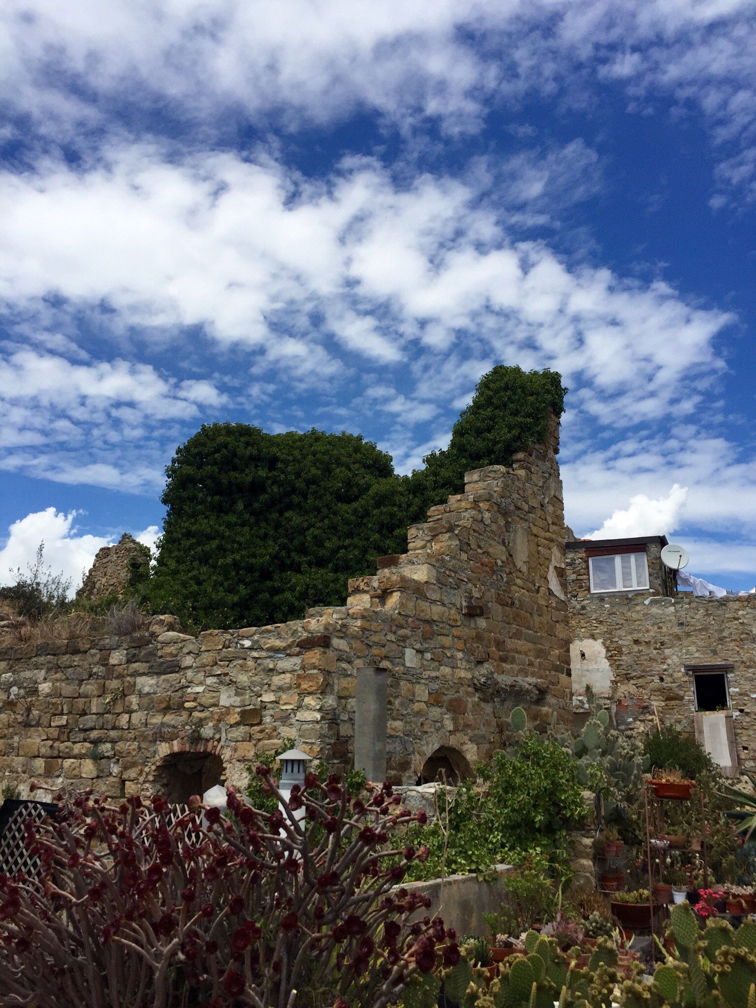 Il Giardino Tra I Ruderi