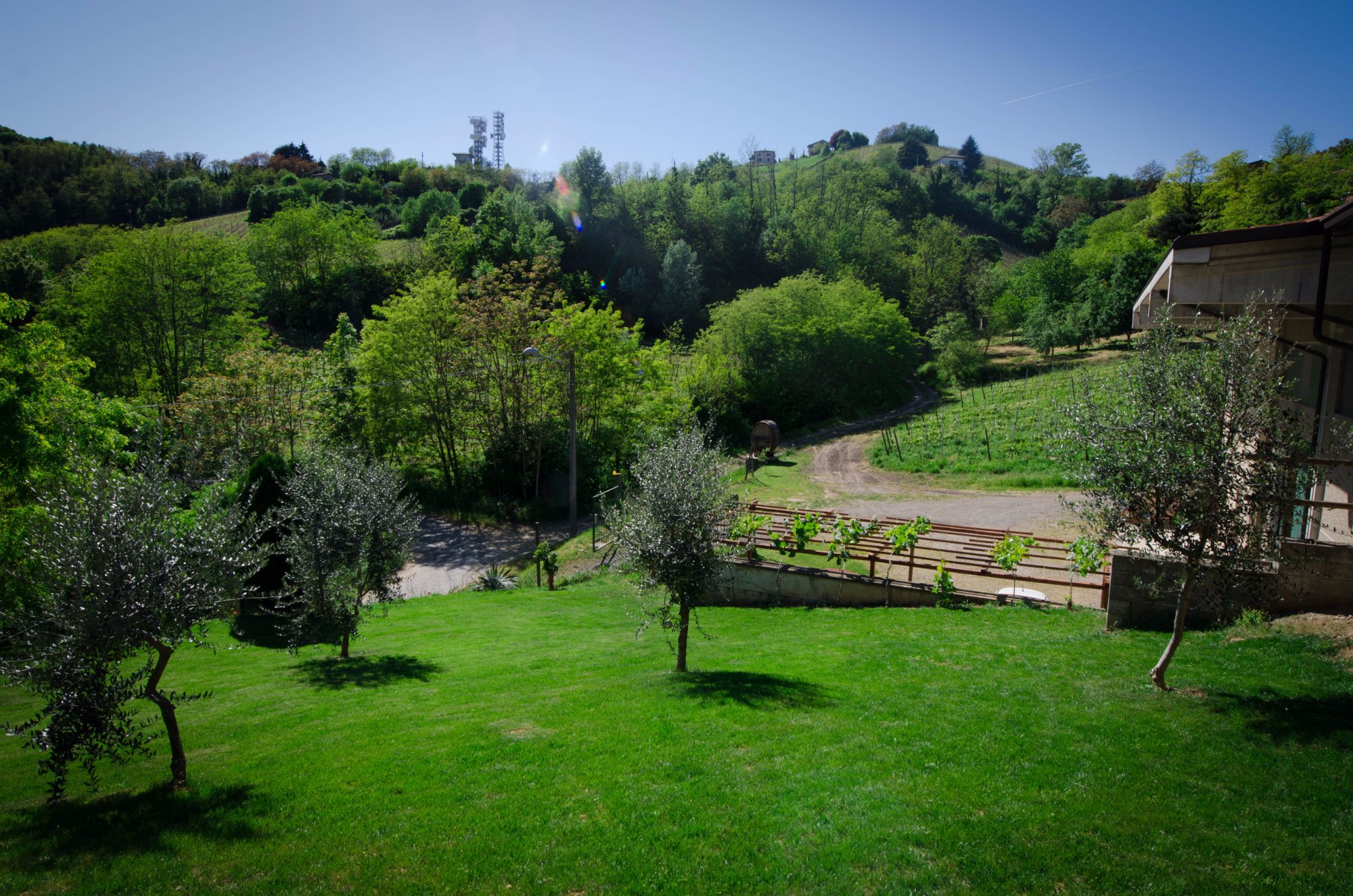 Azienda Agricola Paravella